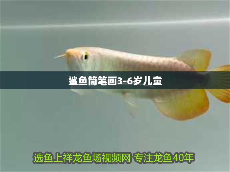 鯊魚簡筆畫3-6歲兒童