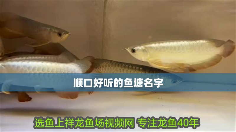 順口好聽的魚塘名字 順口好聽的魚塘名字 龍魚論壇