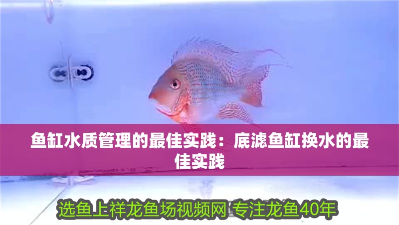 魚缸水質(zhì)管理的最佳實(shí)踐：底濾魚缸換水的最佳實(shí)踐