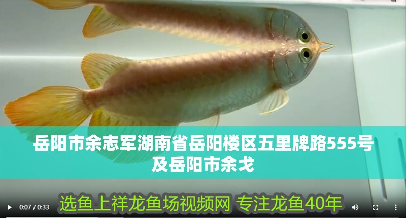 岳陽市余志軍湖南省岳陽樓區五里牌路555號及岳陽市余戈