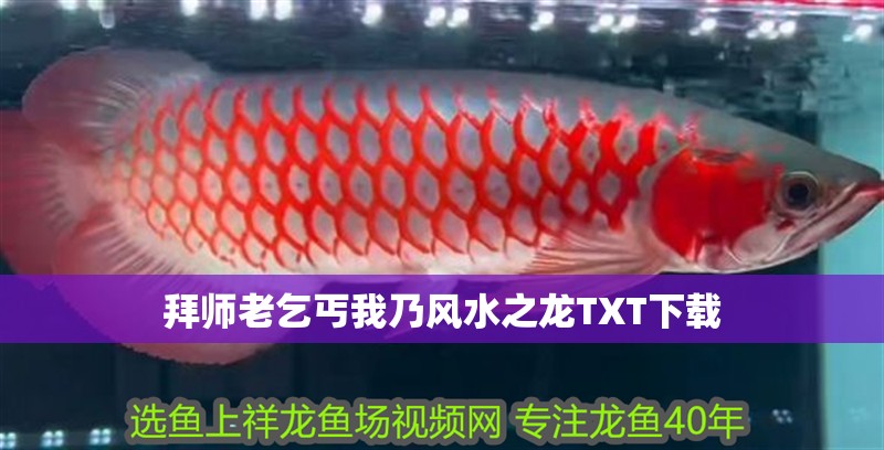 拜師老乞丐我乃風(fēng)水之龍TXT下載