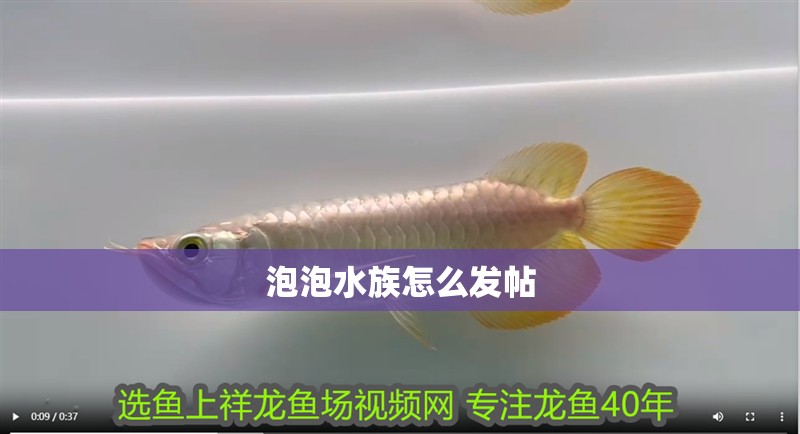 泡泡水族怎么發帖 泡泡水族怎么發帖 龍魚論壇