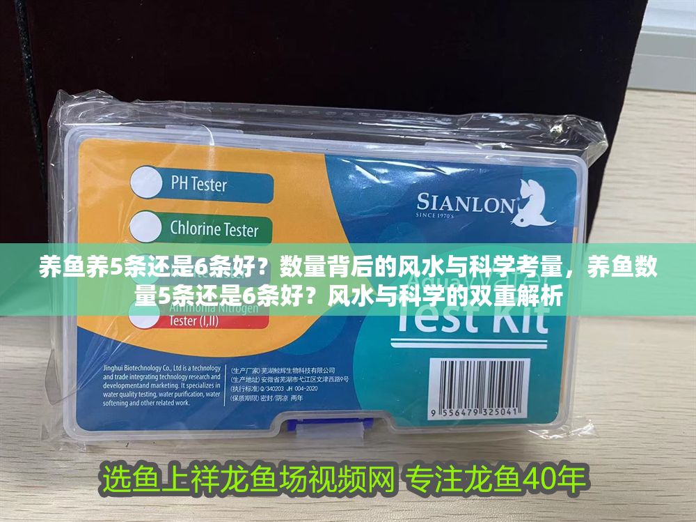 詳細閱讀:養魚養5條還是6條好?數量背后的風水與科學考量,養魚數量5條還是6條好?風水與科學的雙重解析 養魚養5條還是6條好?數量背后的風水與科學考量,養魚數量5條還是6條好?風水與科學的雙重解析