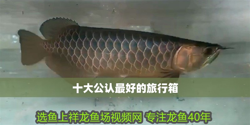 十大公認最好的旅行箱