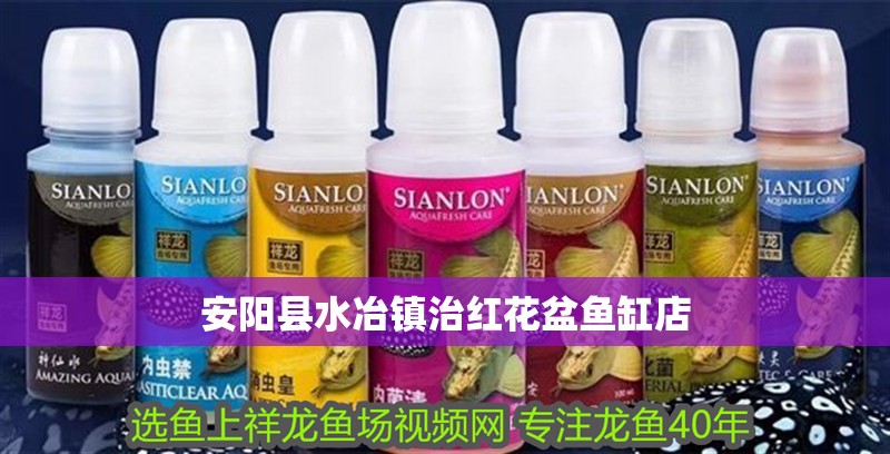安陽縣水冶鎮(zhèn)治紅花盆魚缸店