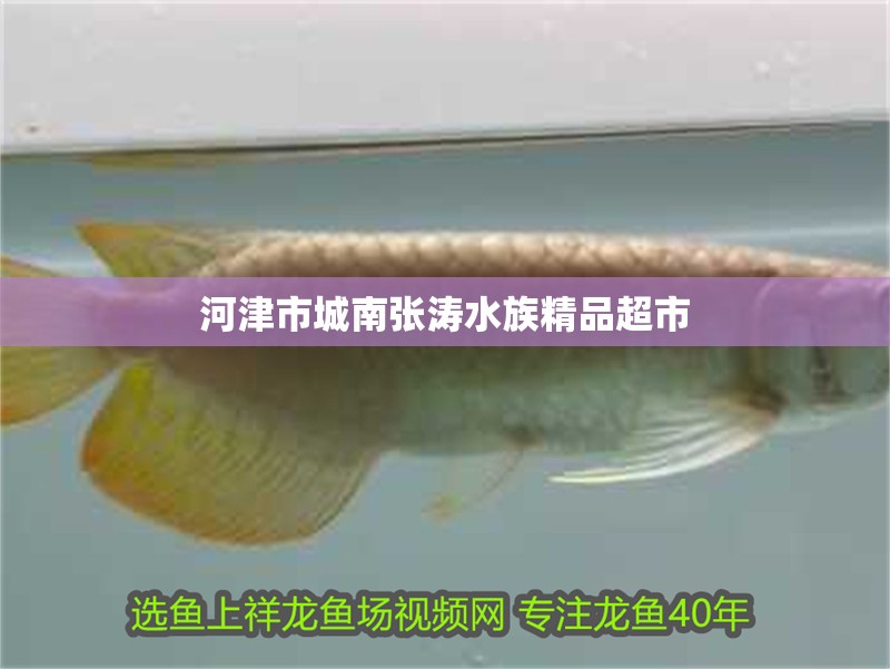 河津市城南張濤水族精品超市
