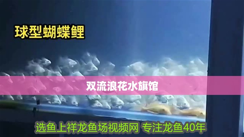 我的虎魚真菌感染了要怎么處理 雙流浪花水旗館 全國水族館企業(yè)名錄 雙流浪花水旗館 雙流浪花水旗館 全國水族館企業(yè)名錄