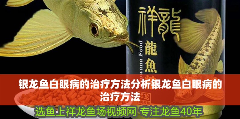 銀龍魚白眼病的治療方法分析銀龍魚白眼病的治療方法