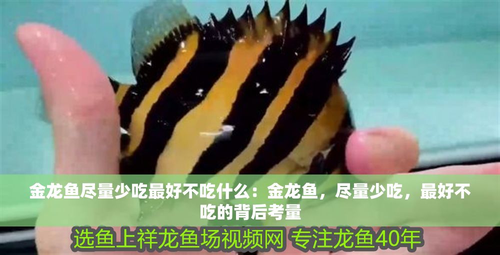 金龍魚盡量少吃最好不吃什么：金龍魚，盡量少吃，最好不吃的背后考量