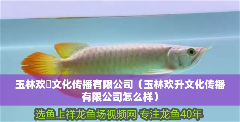 玉林歡昇文化傳播有限公司（玉林歡升文化傳播有限公司怎么樣）