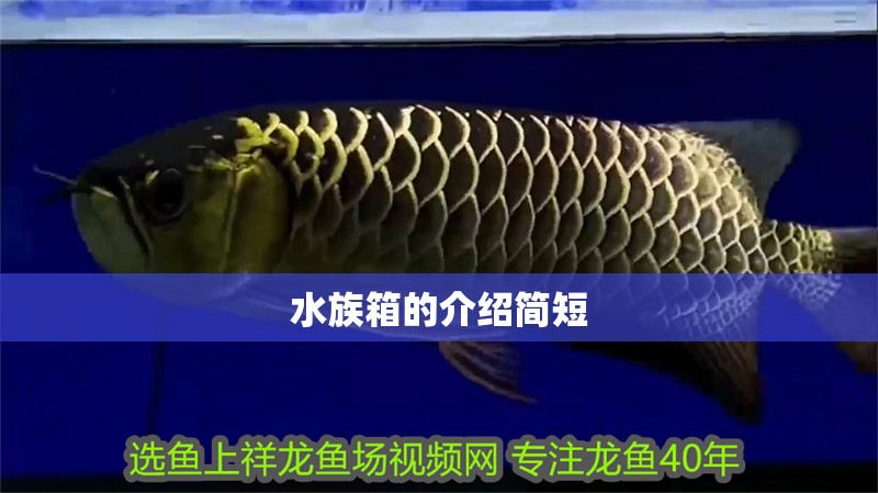 水族箱的介紹簡短
