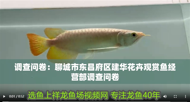 調查問卷：<strong><mark>聊城</mark></strong>市東昌府區建華花卉觀賞魚經營部調查問卷