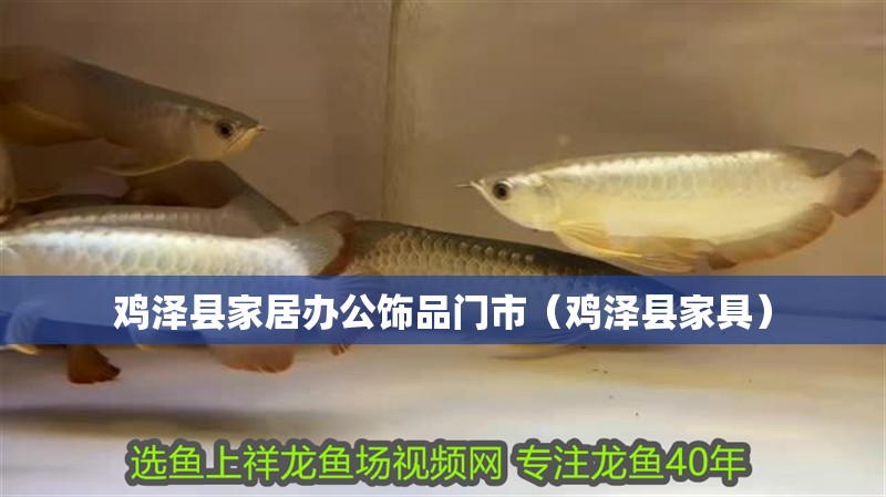 雞澤縣家居辦公飾品門市（雞澤縣家具） 雞澤縣家居辦公飾品門市（雞澤縣家具） 全國水族館企業名錄