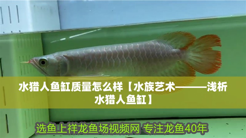 水獵人魚缸質量怎么樣【水族藝術———淺析水獵人魚缸】