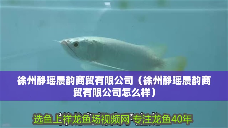 <strong><mark>徐州</mark></strong>靜瑤晨韻商貿有限公司（<strong><mark>徐州</mark></strong>靜瑤晨韻商貿有限公司怎么樣）