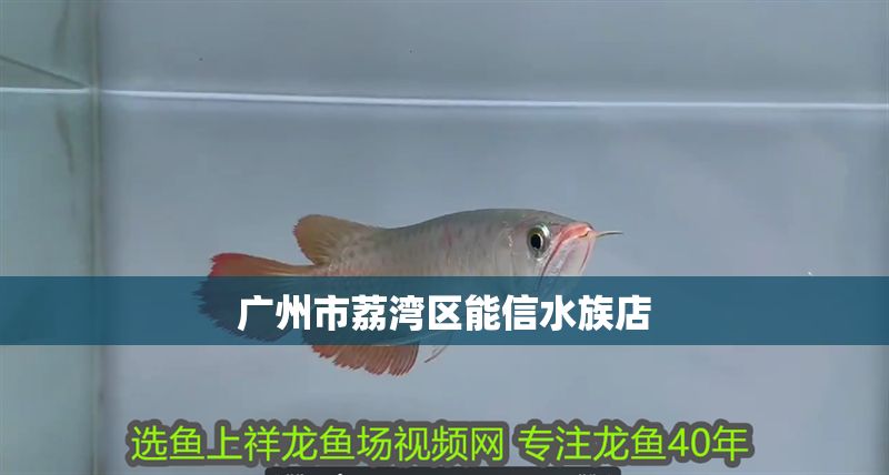 廣州市荔灣區能信水族店