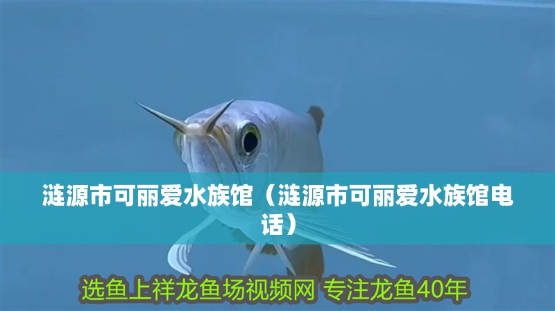 漣源市可麗愛水族館（漣源市可麗愛水族館電話）