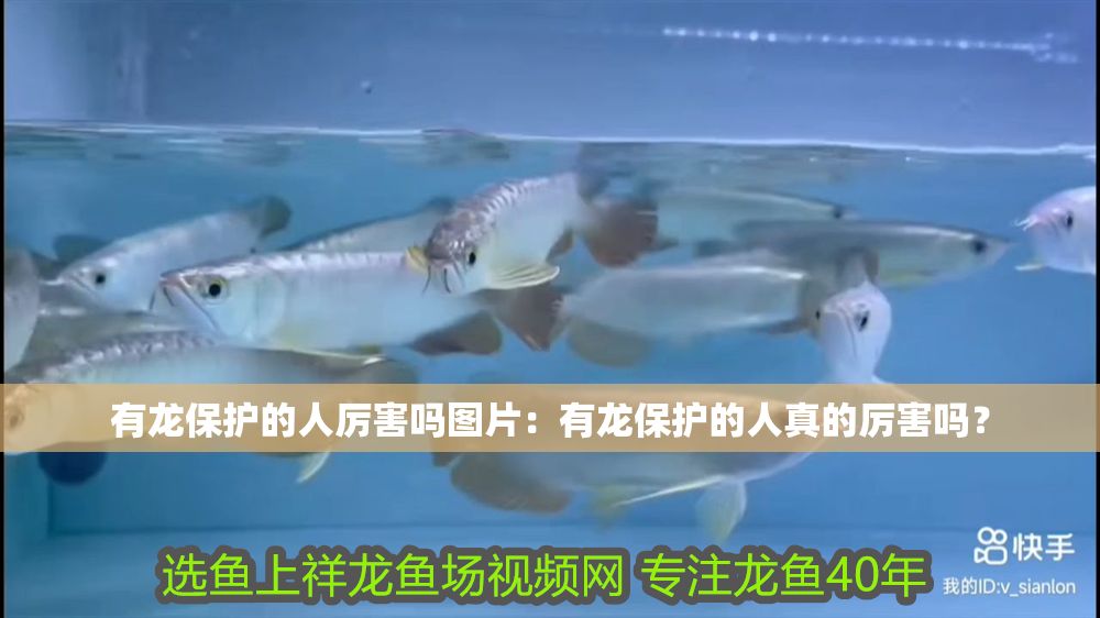 有龍保護的人厲害嗎圖片：有龍保護的人真的厲害嗎？