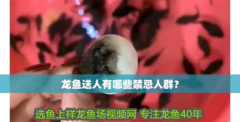 龍魚送人有哪些禁忌人群？