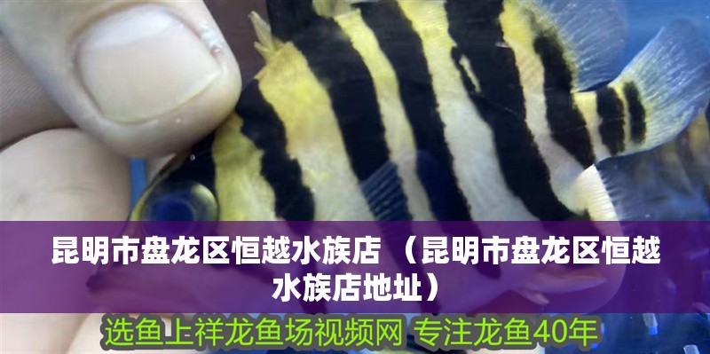 <strong><mark>昆明</mark></strong>市盤龍區恒越水族店 （<strong><mark>昆明</mark></strong>市盤龍區恒越水族店地址）