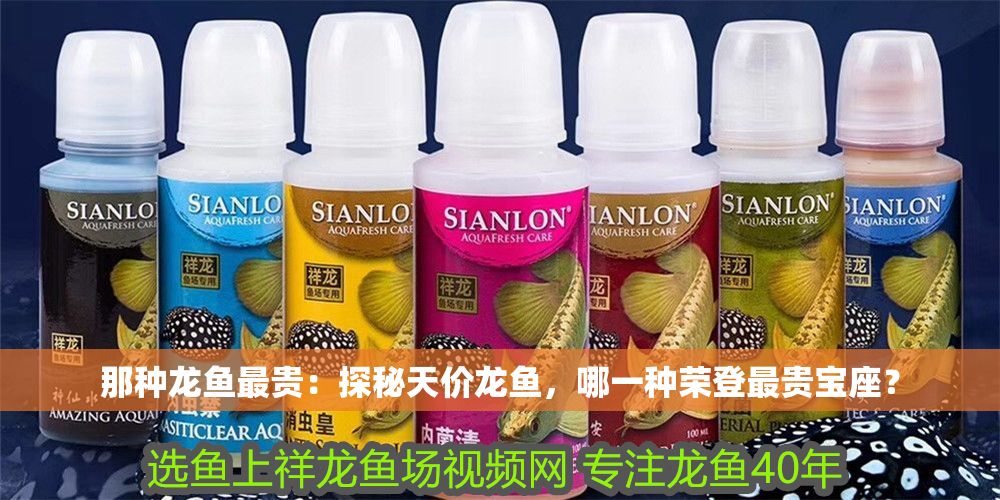 那種龍魚最貴：探秘天價(jià)龍魚，哪一種榮登最貴寶座？