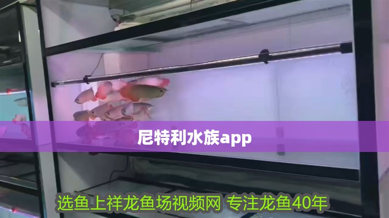 尼特利水族app 尼特利水族app 龍魚論壇