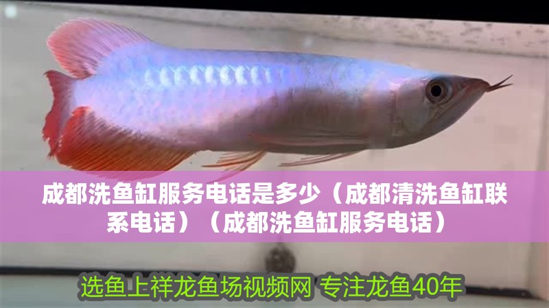 <strong><mark>成都</mark></strong>洗魚缸服務(wù)電話是多少（<strong><mark>成都</mark></strong>清洗魚缸聯(lián)系電話）（<strong><mark>成都</mark></strong>洗魚缸服務(wù)電話）