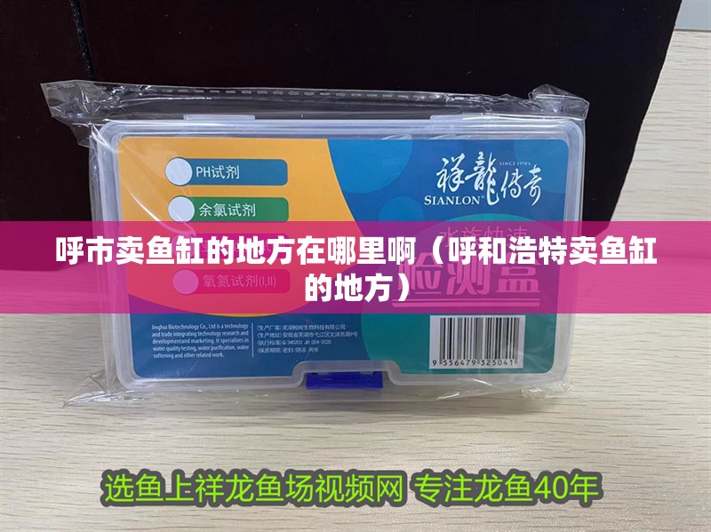 呼市賣魚缸的地方在哪里啊（呼和浩特賣魚缸的地方）