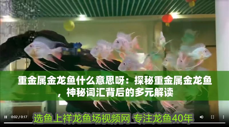 重金屬金龍魚什么意思呀：探秘重金屬金龍魚，神秘詞匯背后的多元解讀