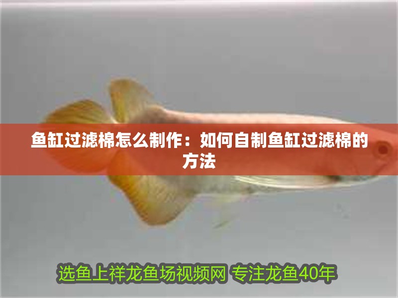 魚缸過濾棉怎么制作：如何自制魚缸過濾棉的方法