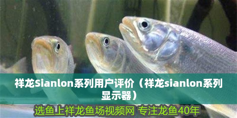 祥龍Sianlon系列用戶評(píng)價(jià)（祥龍sianlon系列顯示器）