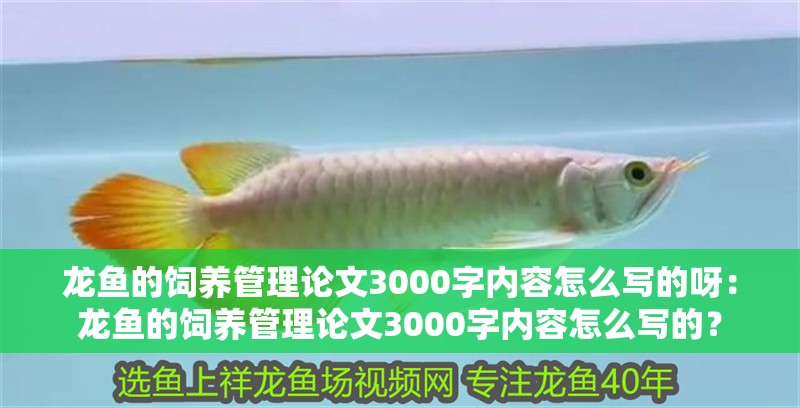 龍魚的飼養管理論文3000字內容怎么寫的呀：龍魚的飼養管理論文3000字內容怎么寫的？ 龍魚的飼養管理論文3000字內容怎么寫的呀：龍魚的飼養管理論文3000字內容怎么寫的？ 龍魚百科