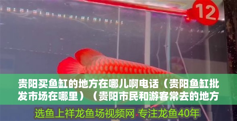 貴陽買魚缸的地方在哪兒啊電話（貴陽魚缸批發市場在哪里）（貴陽市<strong><mark>民和</mark></strong>游客常去的地方在貴陽買魚缸的地方在哪兒）