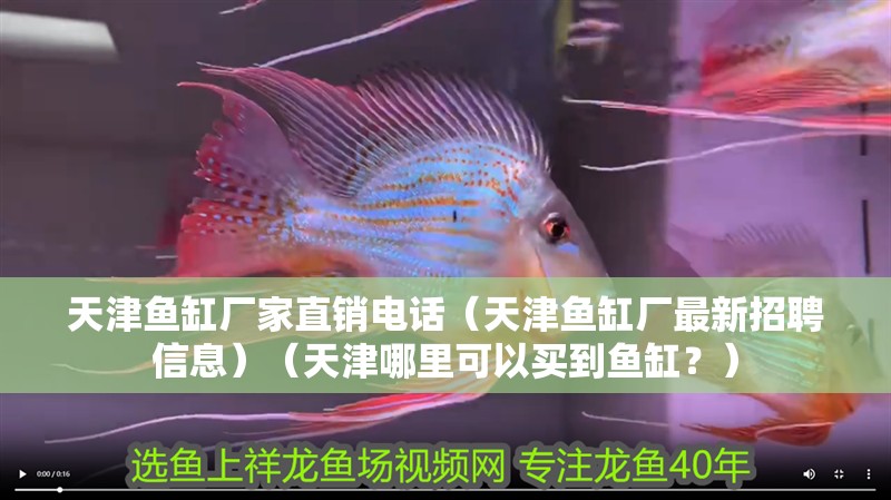 天津魚缸廠家直銷電話（天津魚缸廠最新招聘信息）（天津哪里可以買到魚缸？）
