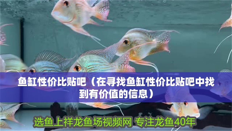 魚缸性價(jià)比貼吧（在尋找魚缸性價(jià)比貼吧中找到有價(jià)值的信息） 魚缸性價(jià)比貼吧（在尋找魚缸性價(jià)比貼吧中找到有價(jià)值的信息） 魚缸百科