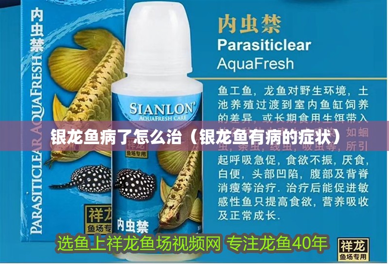 銀龍魚病了怎么治（銀龍魚有病的癥狀）