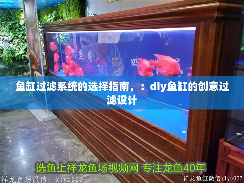 魚缸過濾系統的選擇指南，：diy魚缸的創意過濾設計