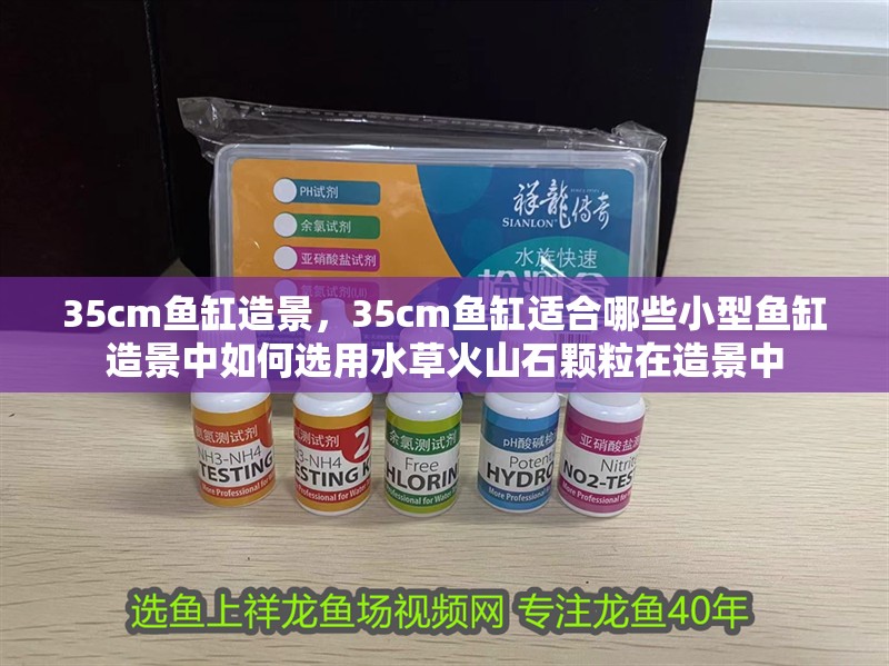 35cm魚缸造景，35cm魚缸適合哪些小型魚缸造景中如何選用水草火山石顆粒在造景中