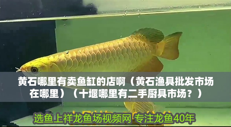 給大魚缸換水的作文:體驗給大魚缸換水的樂趣:體驗給大魚缸換水:給大魚缸換水的作文 黃石哪里有賣魚缸的店啊(黃石漁具批發市場在哪里)(十堰哪里有二手廚具市場?) 魚缸百科 黃石哪里有賣魚缸的店啊(黃石漁具批發市場在哪里)(十堰哪里有二手廚具市場?) 黃石哪里有賣魚缸的店啊(黃石漁具批發市場在哪里)(十堰哪里有二手廚具市場?) 魚缸百科