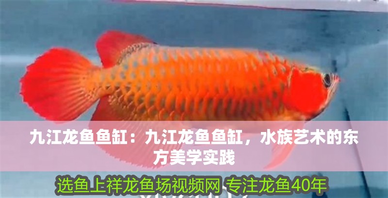 九江龍魚魚缸：九江龍魚魚缸，水族藝術(shù)的東方美學(xué)實(shí)踐 九江龍魚魚缸：九江龍魚魚缸，水族藝術(shù)的東方美學(xué)實(shí)踐 魚缸百科