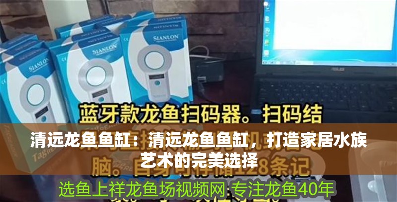 清遠龍魚魚缸：清遠龍魚魚缸，打造家居水族藝術的完美選擇