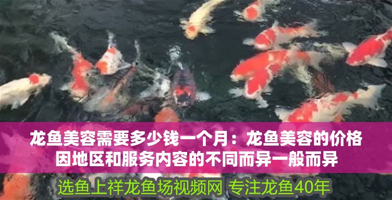 龍魚美容需要多少錢一個月：龍魚美容的價格因地區和服務內容的不同而異一般而異