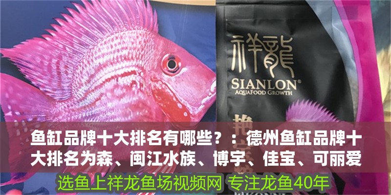 魚缸品牌十大排名有哪些？：<strong><mark>德州</mark></strong>魚缸品牌十大排名為森、閩江水族、博宇、佳寶、可麗愛、ada和創星