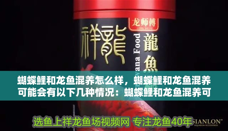 蝴蝶鯉和龍魚混養(yǎng)怎么樣，蝴蝶鯉和龍魚混養(yǎng)可能會有以下幾種情況：蝴蝶鯉和龍魚混養(yǎng)可能會有以下幾種情況，蝴蝶鯉和龍魚混養(yǎng)怎么樣