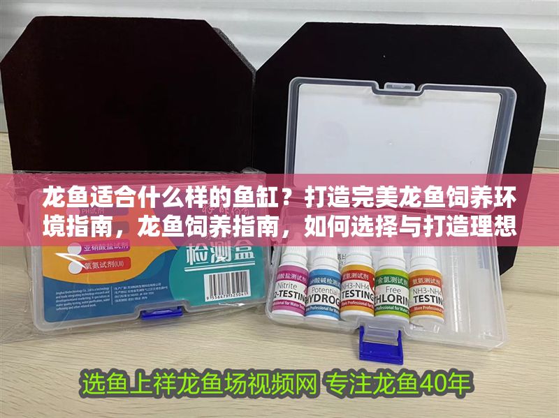 龍魚適合什么樣的魚缸？打造完美龍魚飼養環境指南，龍魚飼養指南，如何選擇與打造理想魚缸環境