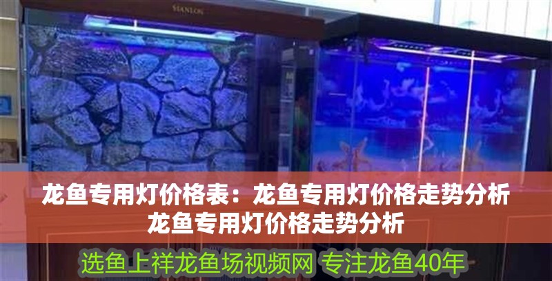 龍魚專用燈價格表：龍魚專用燈價格走勢分析龍魚專用燈價格走勢分析