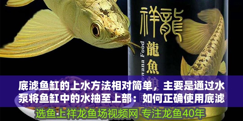 底濾魚缸的上水方法相對簡單，主要是通過水泵將魚缸中的水抽至上部：如何正確使用底濾魚缸