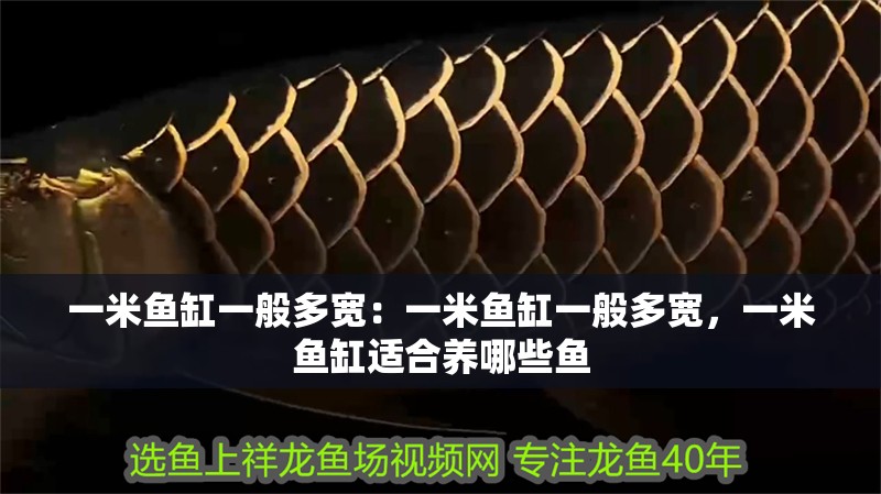 一米魚缸一般多寬：一米魚缸一般多寬，一米魚缸適合養哪些魚