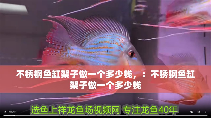 不銹鋼魚缸架子做一個多少錢，：不銹鋼魚缸架子做一個多少錢