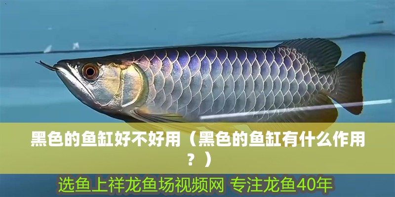 黑色的魚缸好不好用（黑色的魚缸有什么作用？）